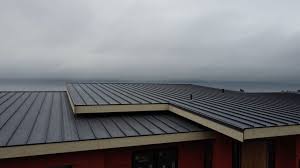 Best Sheet Metal Roofing  in Lake Of The Woods, VA